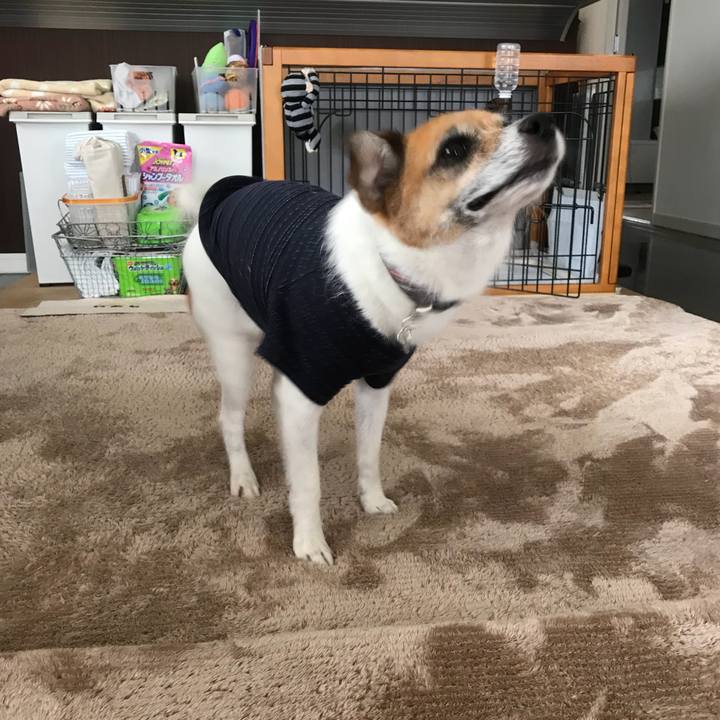 6d3edc33 5470 42d6 a6ea 8e276afa1e9c 1525961108967