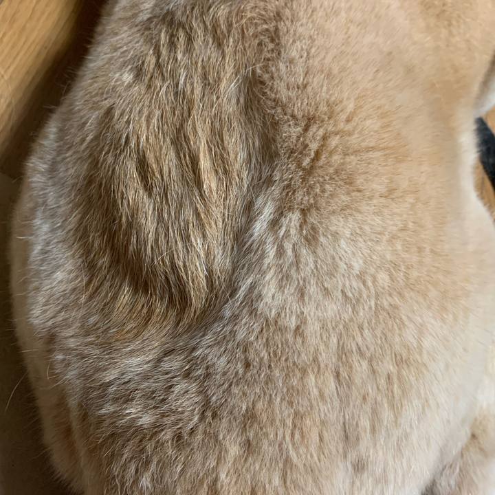 6d3ee3a4 5160 4859 8012 e001b0e0fb14 1661094995834