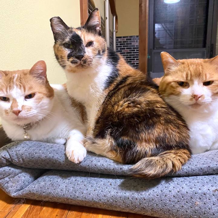 6d3f093b c606 4ff5 869e c1f20d8799eb 1748777368875