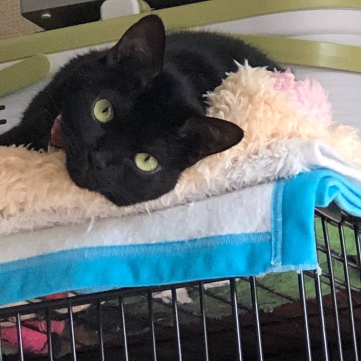 6d3f81a1 a64d 4803 9626 dcde2cf9bc82 1517098821922