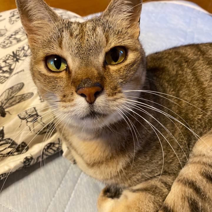 6d3f9509 dd6b 43be 90d5 f0d408479e8d 1626553756523