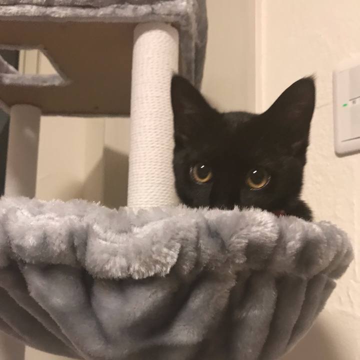 6d3fb5a0 47a1 4fdf ac3a 589c2a93009d 1666587176402