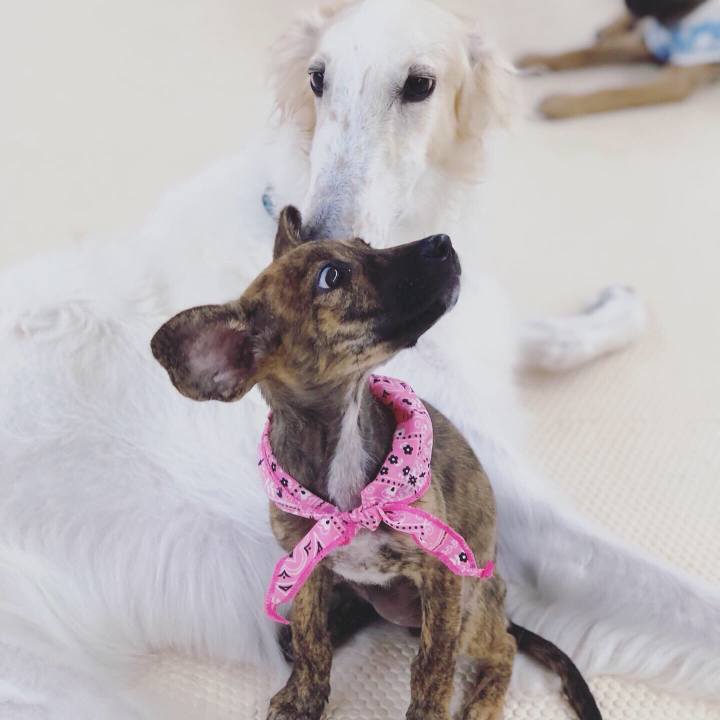 6d3fe513 91c0 4f2c 9f82 5d22a4895d2b 1567524960424