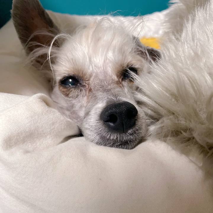 6d40242b a2a2 4109 aa7b 497686e31e76 1759639821708