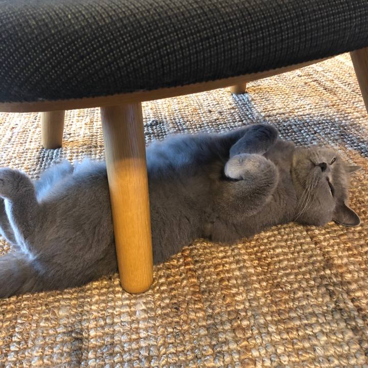 6d404940 42e7 4eca 95eb 9719cb554ee3 1626782528188