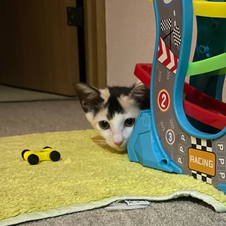 6d406bba cb8b 40aa a86f a796fc131b34 1658832405378