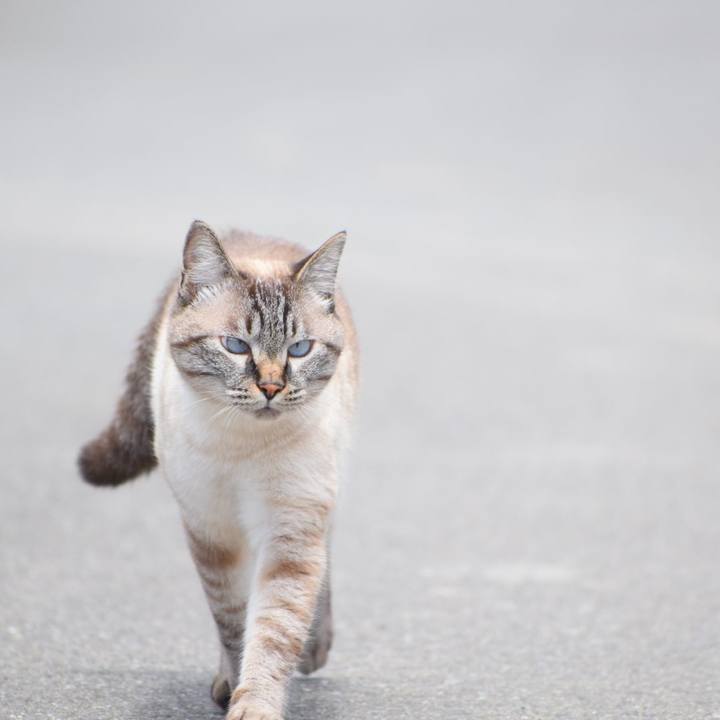 6d406c1a 57a2 41e5 ad9c f8838f8d6b2b 1530431695044