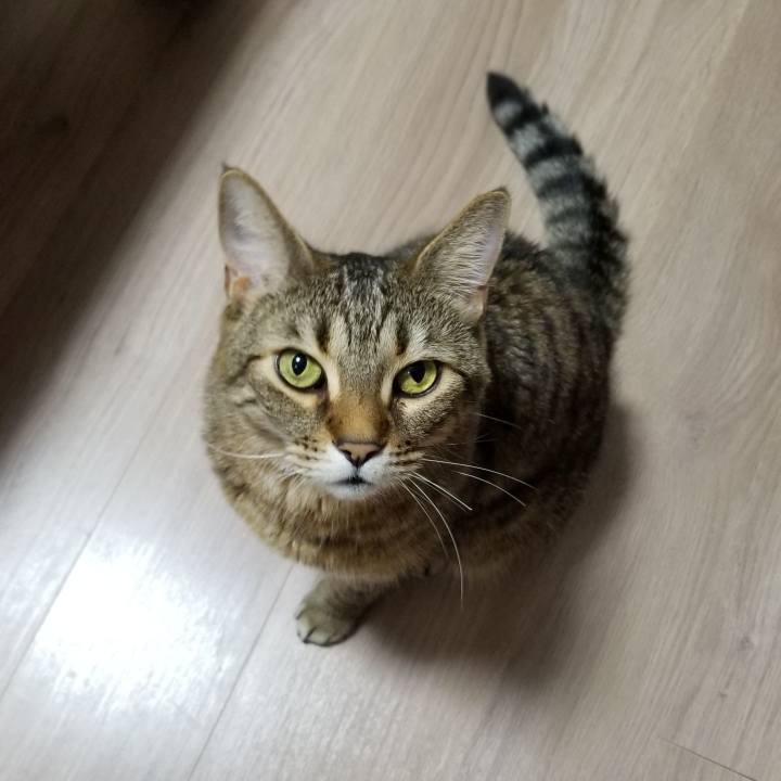 6d406d80 d947 476d 9a0b 7d013b3c0589 1556142207925