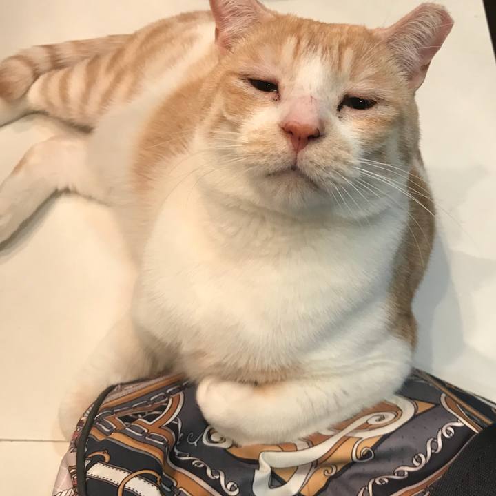 6d406f85 4f33 410e ad38 2c0f5a557267 1548940164042