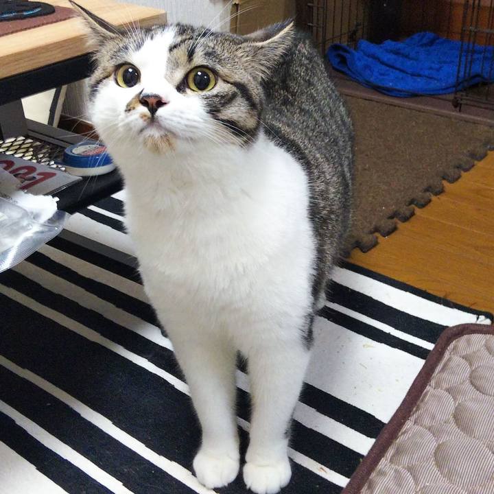 6d407178 b14e 4b5f 9e96 55be99c9e0ec 1624597850791