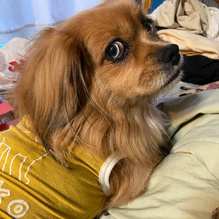 6d407375 118b 447a 8fbd 49e2666cfd09 1638309461539