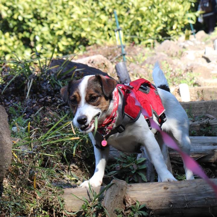 6d407a8a 9ef0 461a 9e4b c13b819dfbb7 1520077370450