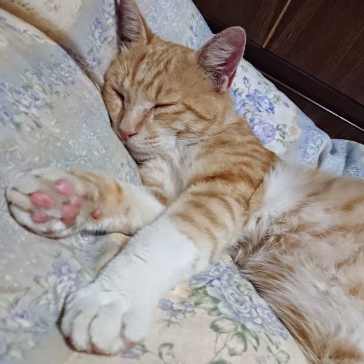 6d408d1f 065f 4063 b4ae eceaf6377ed6 1562932771439