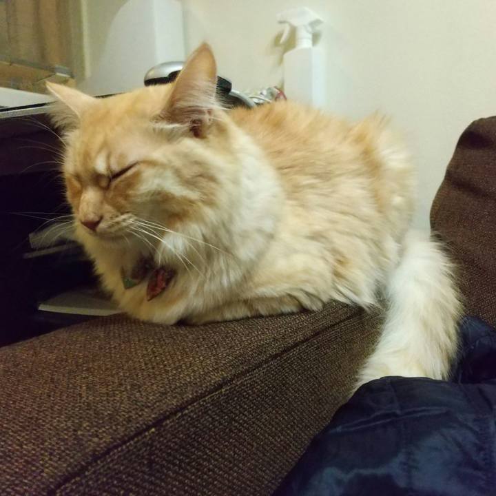 6d4095f6 dba8 44ce 9290 04a7574e4d52 1640685357857