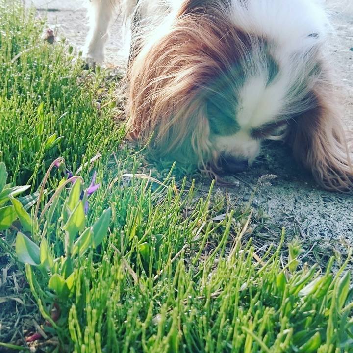 6d40cbfb 4be0 4ccb 9f9a 03ffcd48e3fb 1522796419174