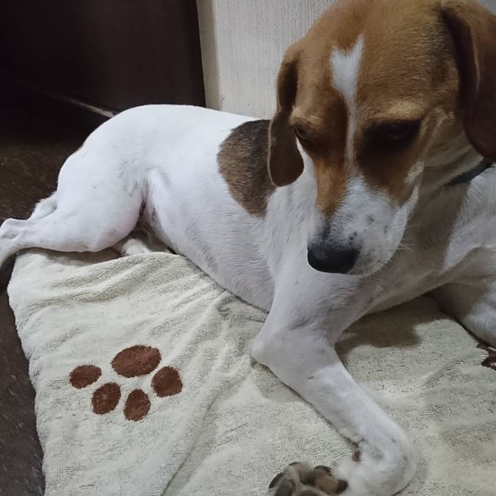 6d40eb6e 5765 4ee7 b64c 7200b44280a7 1571302612119