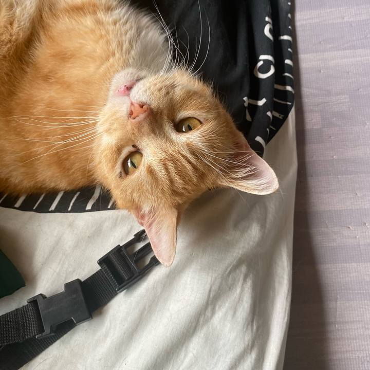 6d411f45 6b2a 4a9e 91b3 ee3b447adc3d 1627540991572