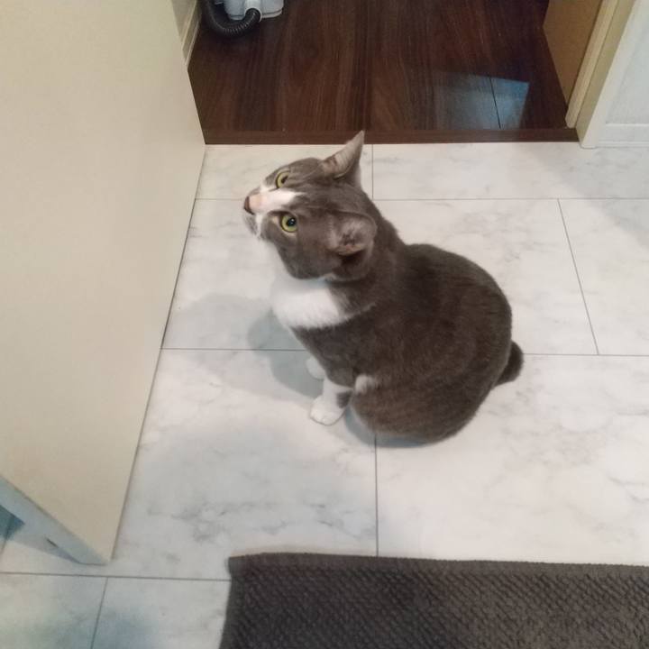 6d412f91 9188 44bf 8afe 7e30bb5496f6 1637879041152