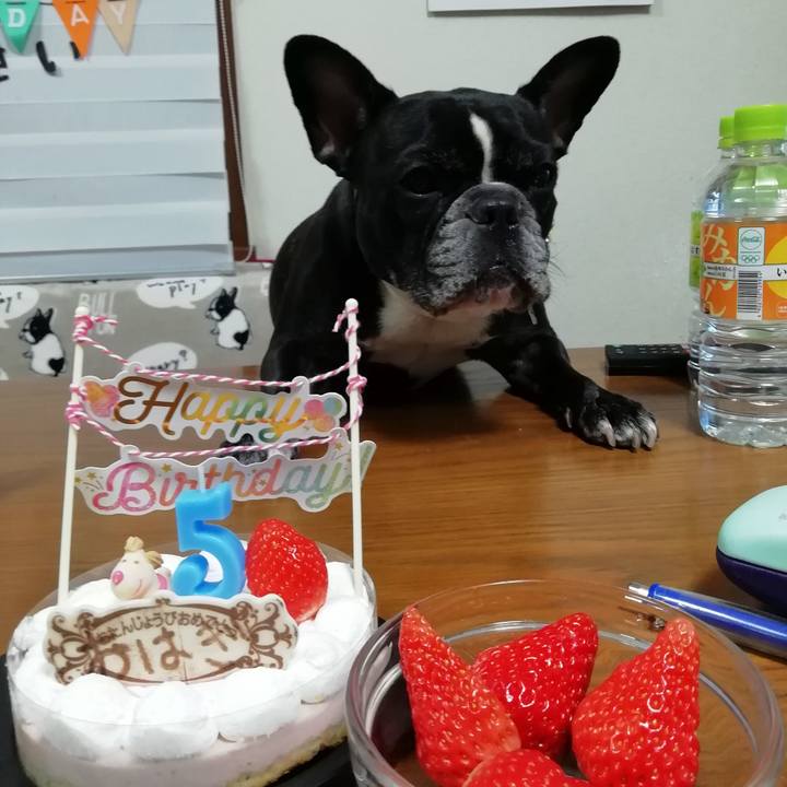 6d412ff7 a909 4b8a 8122 0f8a9413d20c 1579956138190