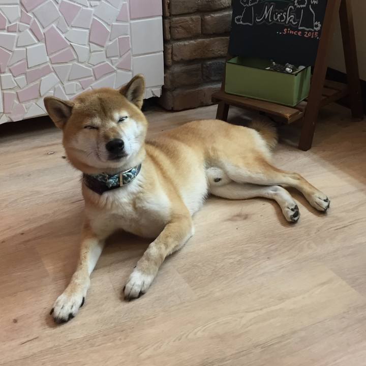 6d417118 2c79 448d bb1b 9eaca31af4c2 1509676433429