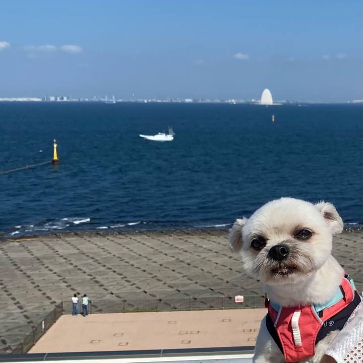 6d418442 0bfd 476d 964a dec655520234 1723453443346