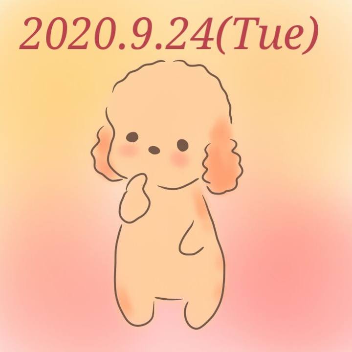 6d418bfa e112 49dd 9dd9 3861c6376643 1600957216852