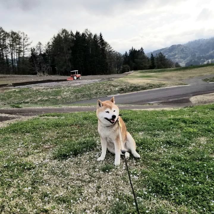 6d41cf88 a83b 474c bfff b8e43c0e3b65 1650609695066