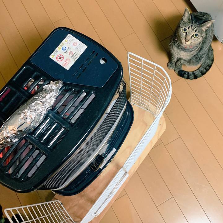 6d41da2c 82c0 4fd2 af22 090c8e9d42ad 1544094312401