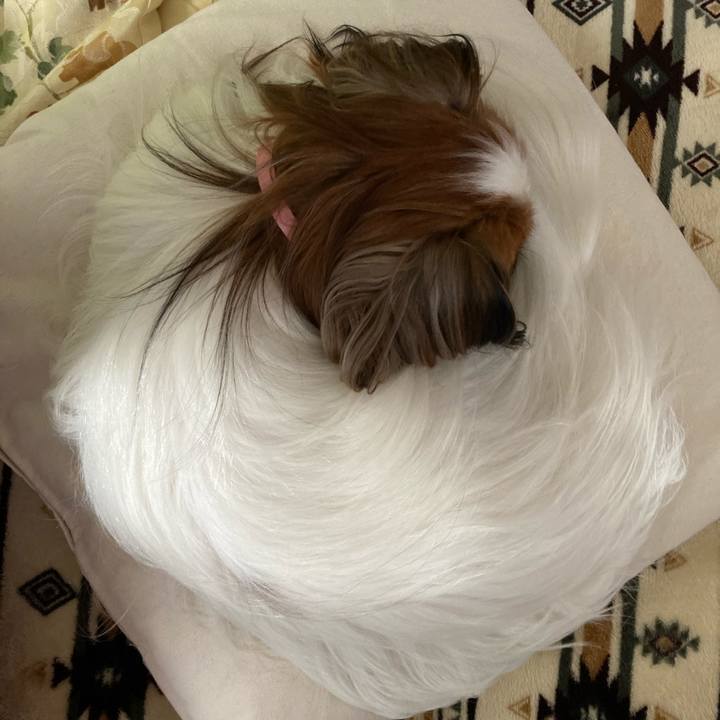 6d422dee aceb 4147 a586 4e8e6ba1ca81 1632638314866