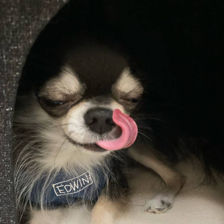 6d42b3b4 6ee6 4e39 ab6f a82adb157f12 1669475079771