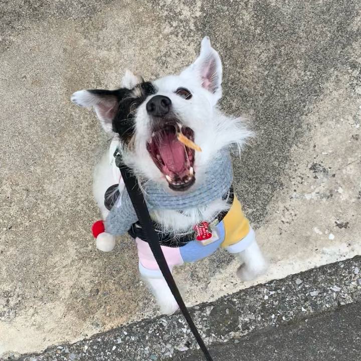 6d42d04d b3d8 440a 84ab 5cc850535bca 1709601215543