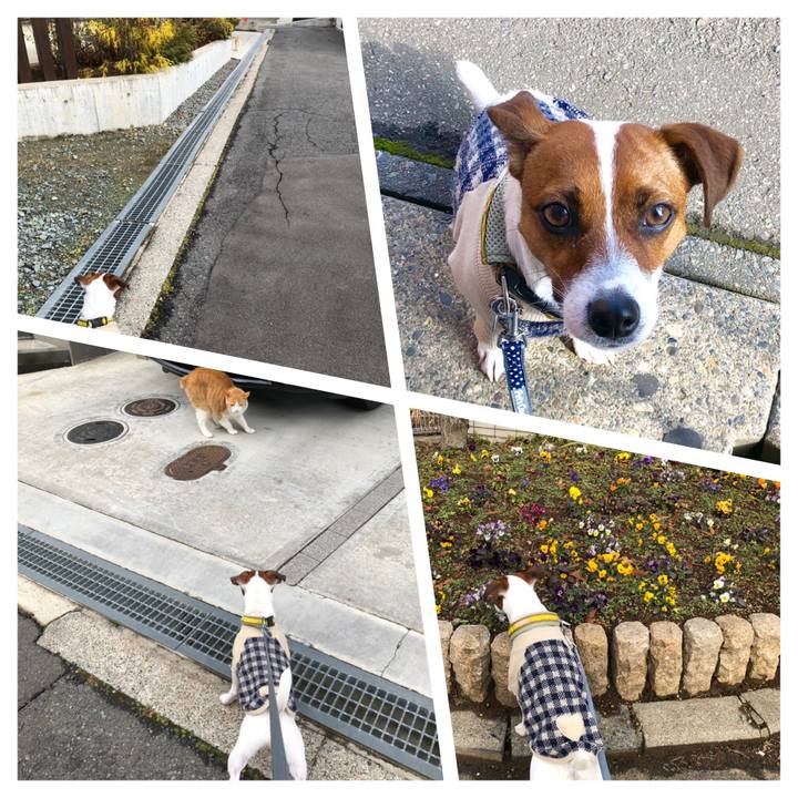 6d43147b 5f63 4053 b2e3 aafaea4bbd40 1545357599284