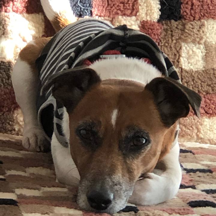 6d432bf0 bf7d 45d7 9c65 71dd06bd9770 1581548518723