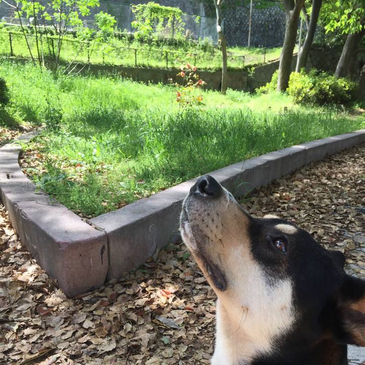 6d433b1d f156 4e69 8b87 d3ac49d96bfb 1524723507446