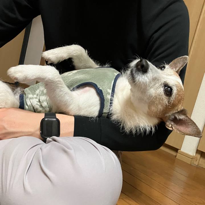 6d434a99 ac7a 4eb5 a691 8fcd944d76ea 1710548387480