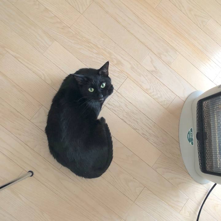 6d438f0e 4a0c 410b a1fc 08a8b23ffbab 1518336651621