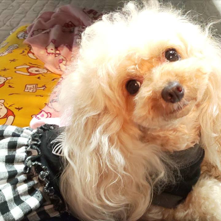 6d43949f a168 41c2 a6c3 238f88d62236 1591015958939