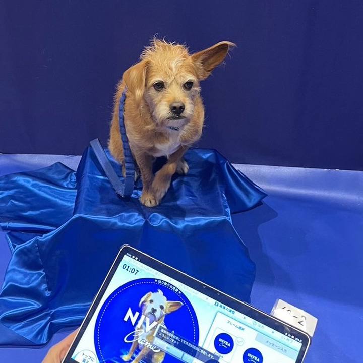 6d43bf44 df52 4a4d 8269 52e677e34fb6 1700955361832