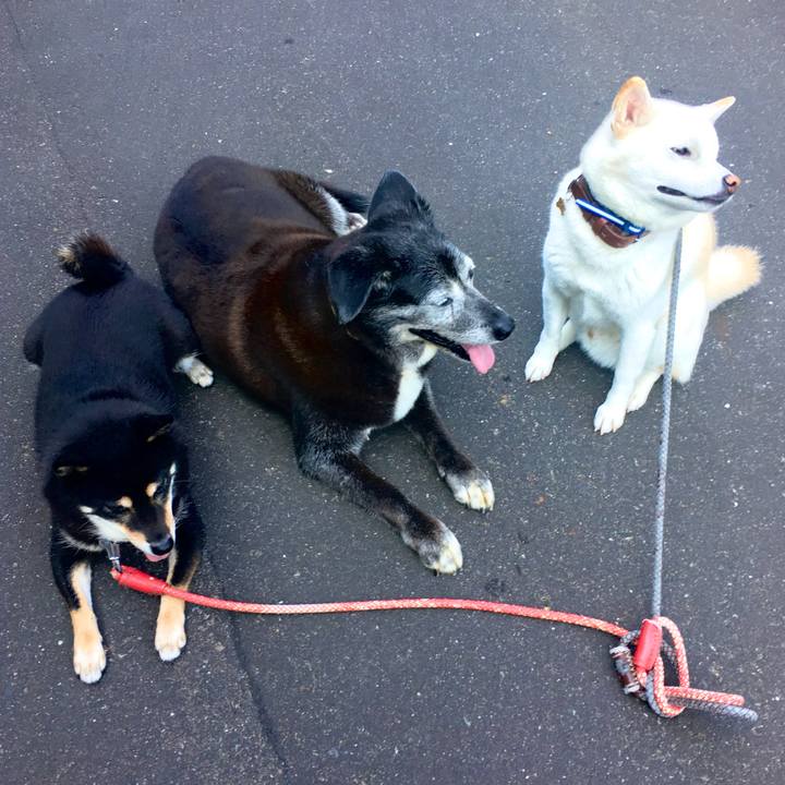 6d43c2bb a414 47ae a2a3 d3946d48059f 1598488486592