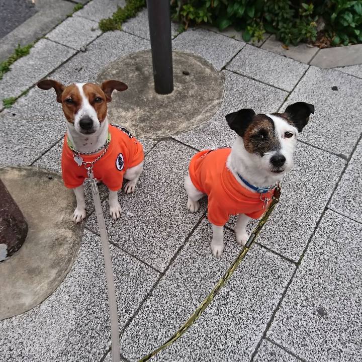 6d440176 dd55 4f1f a3fc 9a366e8ca0db 1584915539562