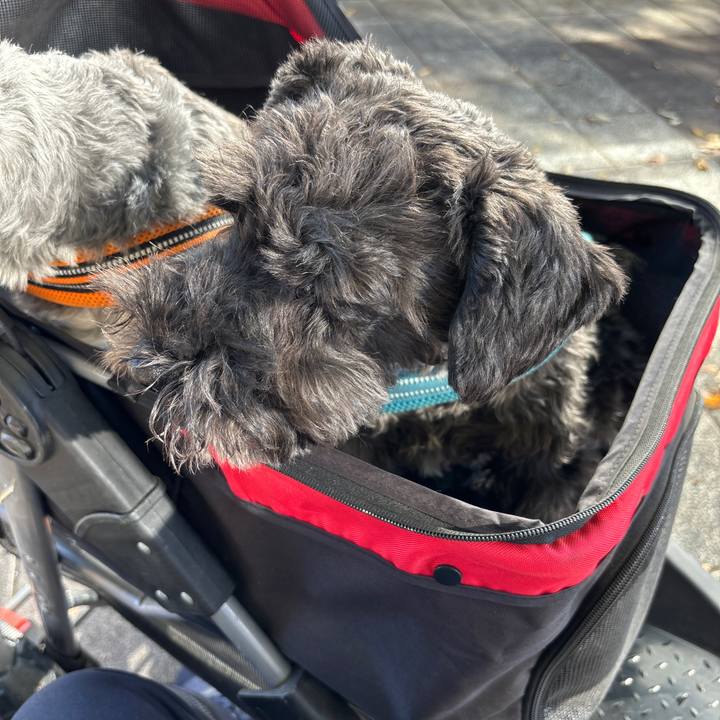 6d440340 93b7 478c a9ba 33bf9eb0bbe8 1700365884552