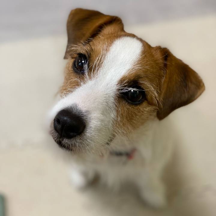 6d441b80 4226 496e abbd c6d3849144d7 1634768911128