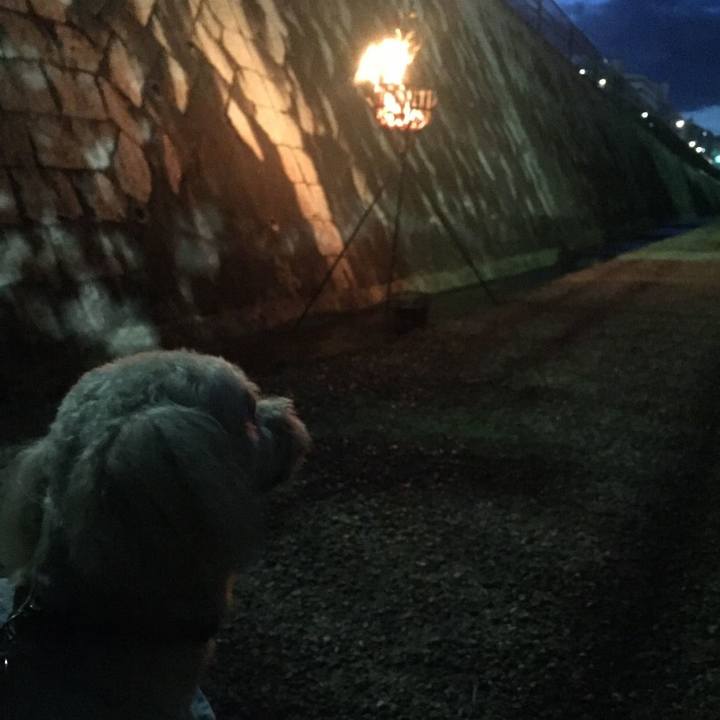 6d443327 80f0 4fdf a36d d192f3a5f313 1565521238542