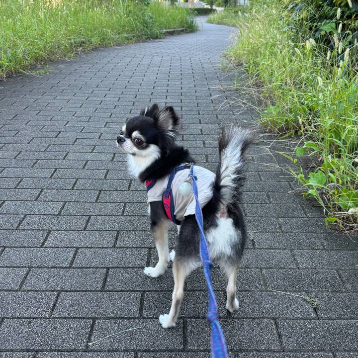 6d443e09 d733 4bce 929c f83c28a965b1 1725551735378