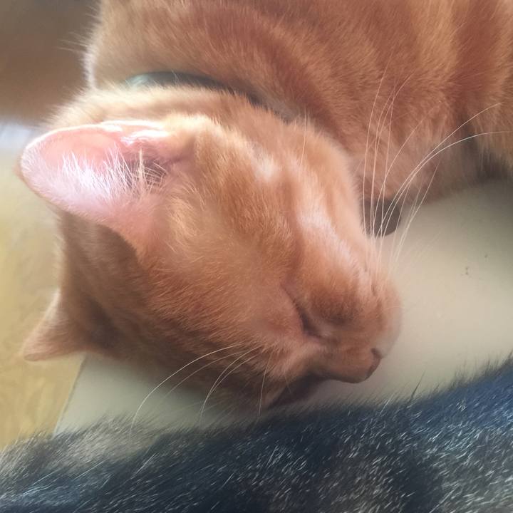 6d448eaf a34e 40f2 8743 367c97c9aac2 1570257551392