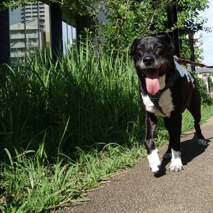 6d44ae93 01ce 4664 aa18 c9beca632db6 1719191078262