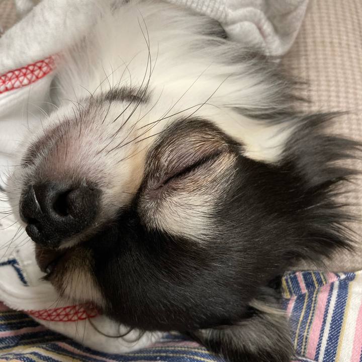 6d44d6e8 6219 4b3b ad06 1ef3b7299f27 1642339371741