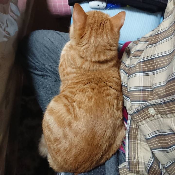 6d44ddc2 590c 4934 afc7 70412bd97074 1638792004147