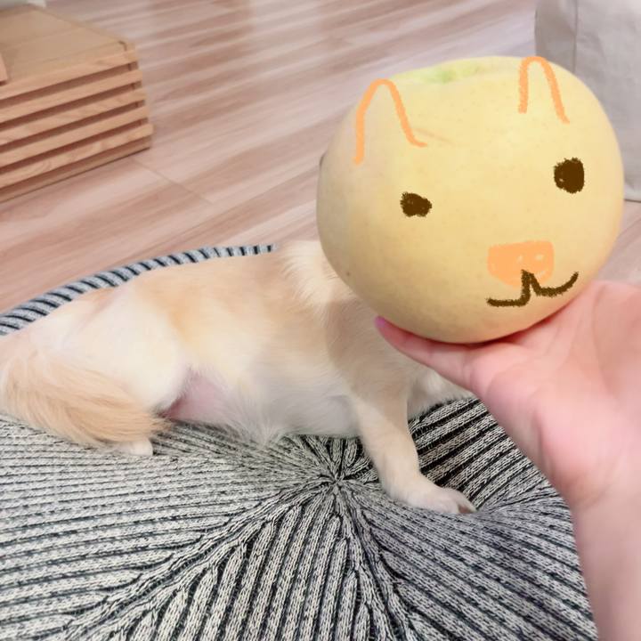 6d44ecd7 dfe2 4eb2 aab3 bc6203ba69f7 1694862623419