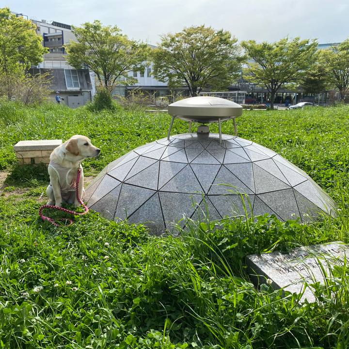 6d45089f 6db9 42d5 9137 2df63a8fbef1 1618098781260